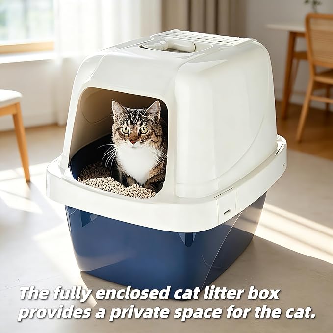 The Great Bathroom Conspiracy: Why Your Cat Judges You While Using the Litter Box